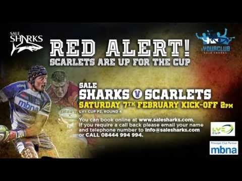 Sale Sharks vs Scarlets