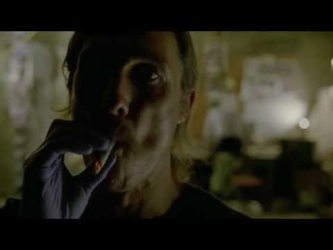 Matthew McConaughey plays Keyboard Cat to Woody Harrelson