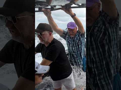 Aussie Cod Catch: Sustainable Harvest & Immediate Processing