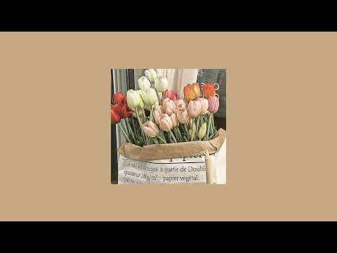 Suki Waterhouse - Good looking (Speed up/Nightcore)