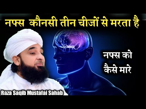Apne Nafs Ko Kese Mare by Raza Saqib Mustafai Sahab