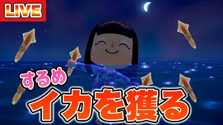 【あつ森】海の幸図鑑コンプへの道！～ホタルイカを獲りたい！！！～