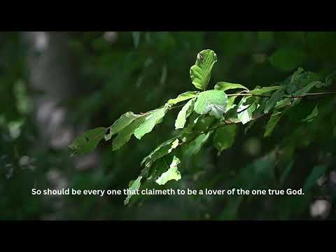 Unrestrained as the Wind