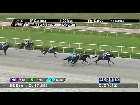 201114 c05 CHIMACHIMA