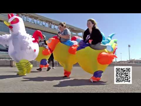 Chicken Run Mcdonough