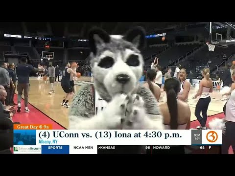 UConn men's basketball team plays Iona today