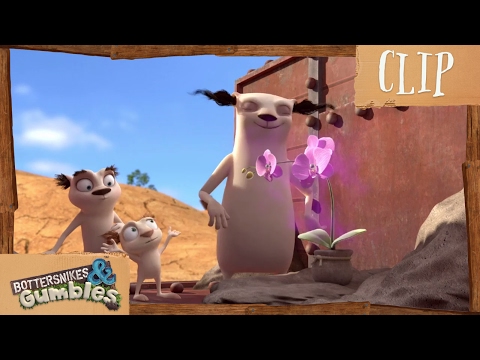 Bottersnikes and Gumbles - Flower Fight | Cartoons for children