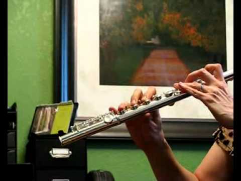 Di Zhao Student (DZ200) Flute For Sale (Free Shipping!) - Sound Demo