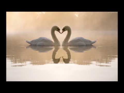 Kiedyś kocham ci mówiłem - Andrzej Pawlewicz