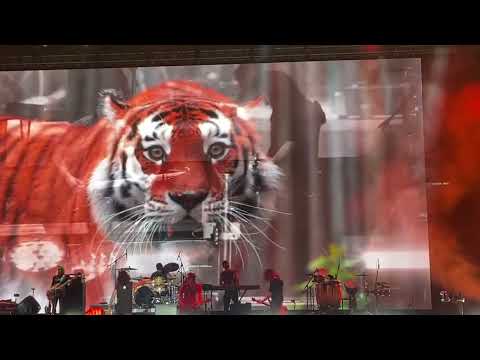 Eye of Tiger-Robin McAuley (Survivor)