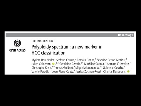 Polyploidy spectrum: a new marker in HCC classification
