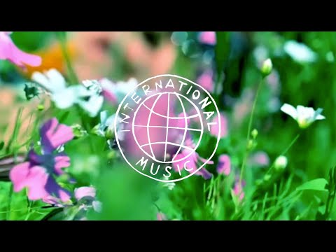 International Music - Im Sommer bin ich dein König