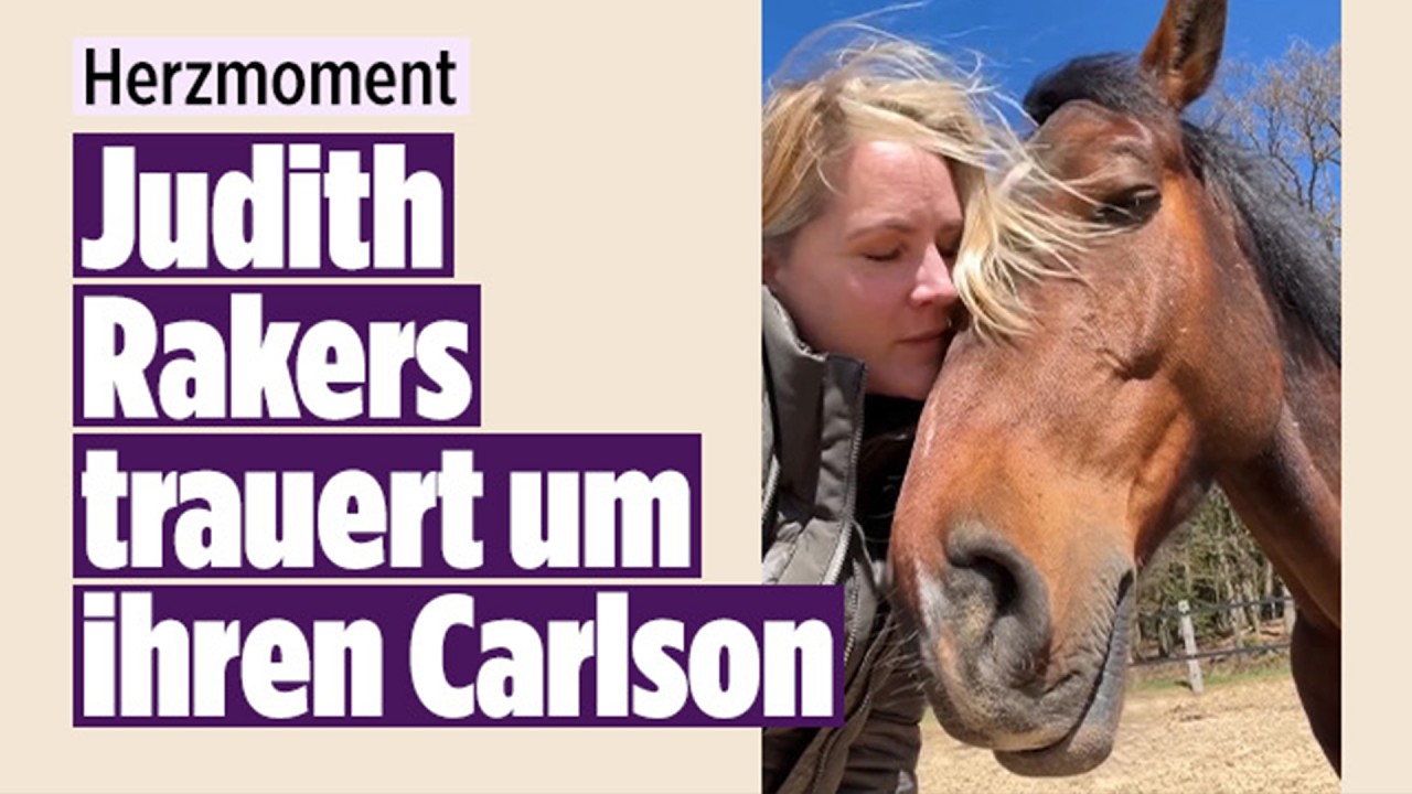 TRAUER UM CARLSON: Judith Rakers nimmt Abschied von ihrem geliebten Pferd
