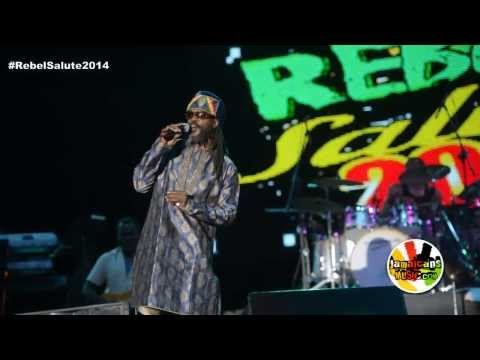 Andrew Tosh at Rebel Salute 2014