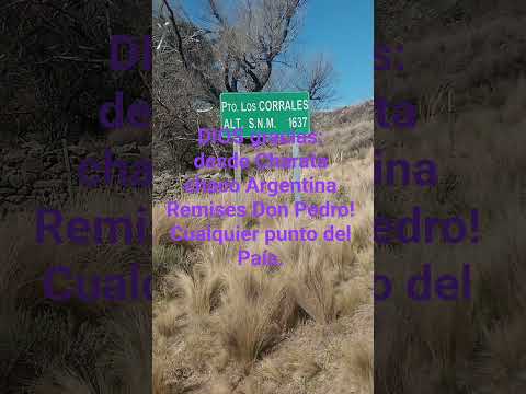 Remises Don Pedro Charata Chaco