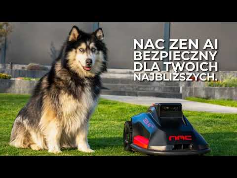 Kadr z filmu NAC ZEN AI 1000