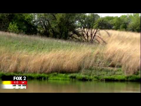 Improving Water Quality and Reducing Flooding by Restoring Prairie Grasses