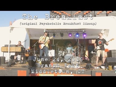 The Breakfast (Original Psychedelic Breakfast lineup) 2016-06-24 - Branch Fest [4K]
