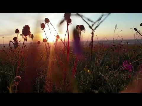 Tu Jhoom - Naseebo Lal x Abida Parveen | nature video