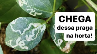Miniatura do vídeo