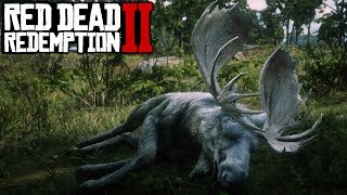 LEGENDARY MOOSE LOCATION! | Red Dead Redemption 2