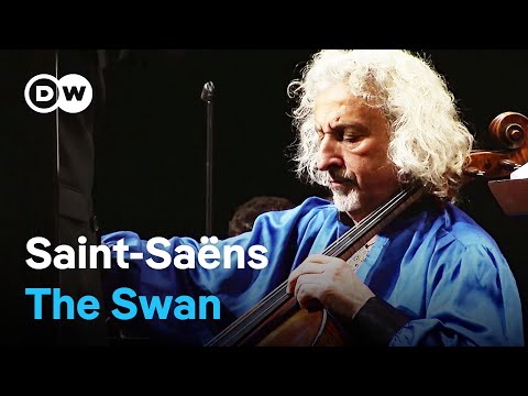 Saint-Saëns: The Swan - Masterpiece of Romanticism | Mischa Maisky, cello