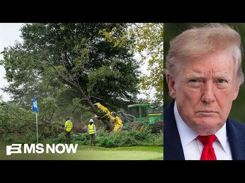 Trump's legal team BLASTED by judge after cutting down over 400 trees at public golf course