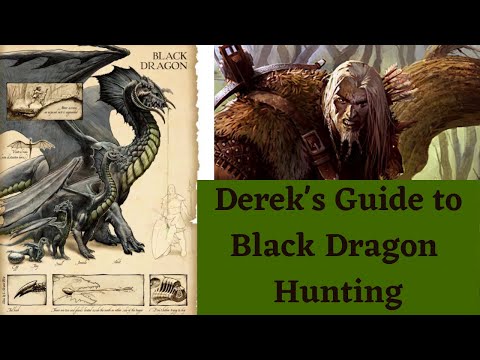 Derek's Guide to Black Dragon Hunting