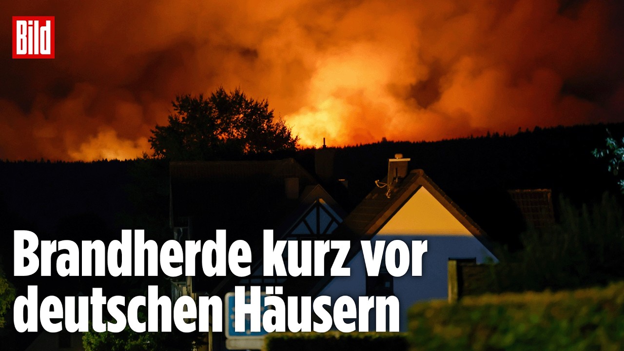 MONSCHAU: Waldbrand im belgischen Naturschutzgebiet! Feuer unmittelbar vor der deutschen Grenze!