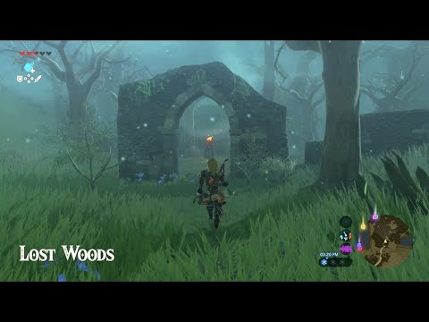 How To Get Through The Lost Woods | Zelda Breath of the Wild