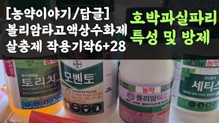 호박과실파리 특성 및 방제? 볼리암타고액상수화제