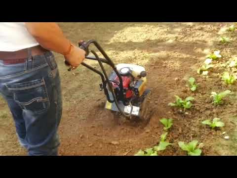 2 stroke mini tiller