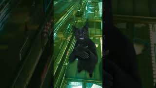 エッジランナーズ２観終わった後これ　#shorts