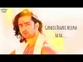 Arjun Theme Song Full HD With Lyrics Gandiv Daari