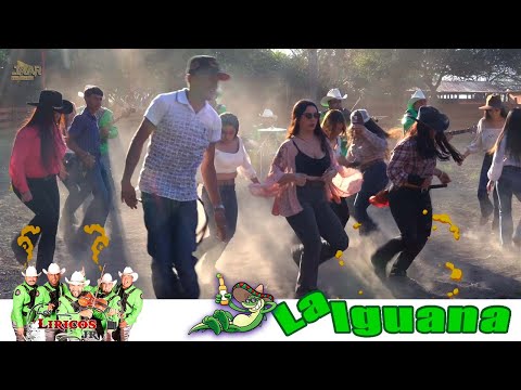 La Iguana - (Guapango) -  Los Liricos Jr. - Video Oficial