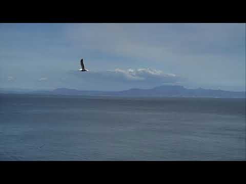 Anacapa Island Cove - Channel Islands National Park Cam 03-18-2018 15:01:19 - 16:01:20