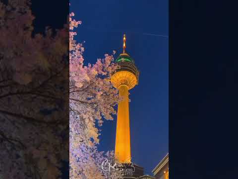 ලයික් කරන්නකො ප්ලිස් 🇰🇷🇰🇷🇰🇷###@❤️❤️