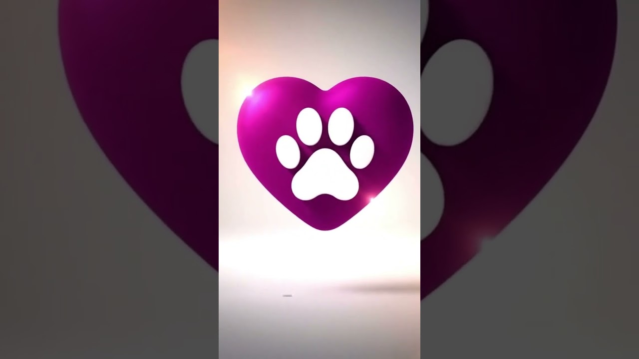 Cachorro raça Pit-Bull idade 1 ano nome Bruce