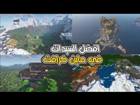 افضل 4 سيدات في ماين كرافت الجوال🔥🔥