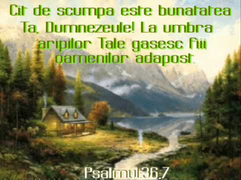 Inca mai este loc la cruce -- Marian Marcus