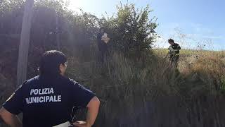 buttate-tra-i-rovi-salvate-dai-vigili-del-fuoco