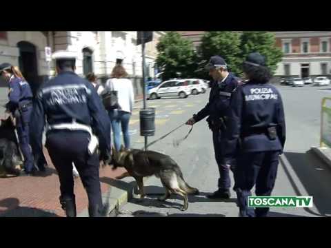 2017-04-08 PRATO - IL COMUNE ASSUME 8 AGENTI DI POLIZIA MUNICIPALE