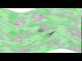 Klasky Csupo Right Mirrored Round 7 G Major 32