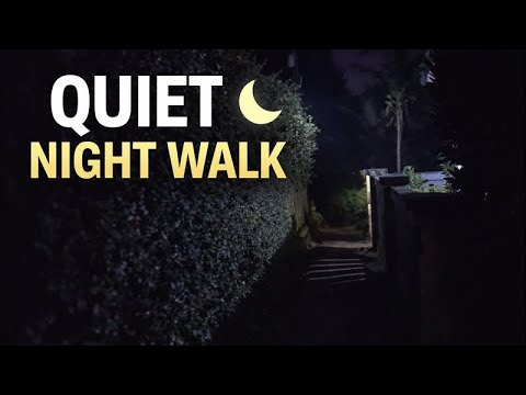 Can’t Sleep? Take a Peaceful Night Walk Through a Silent Rural Village (4K)