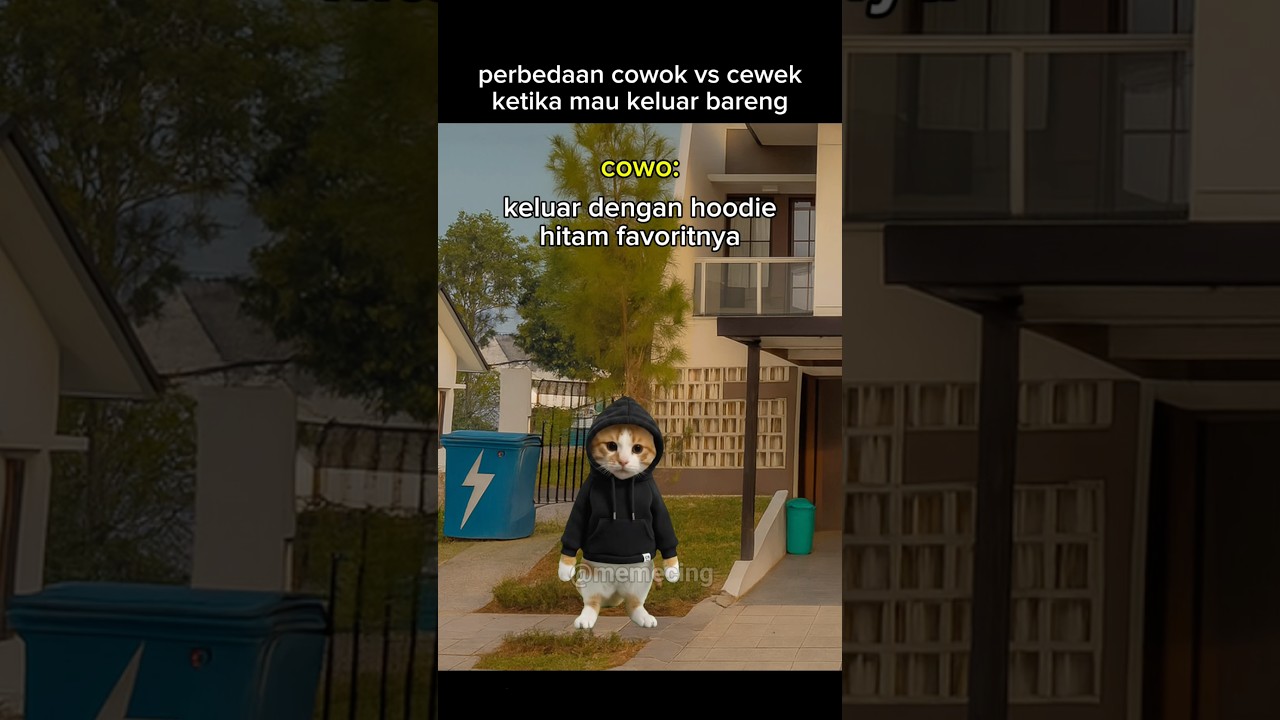 The Paw-fect Distinction: Meme Kucing Exposes the Differences Between Guys and Girls