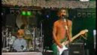 Bush - insect kin (live in Germany 97)