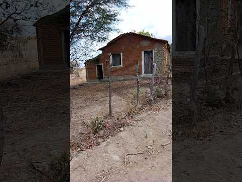 às boas lembranças e recordações do sitio boa vista Tavares PB,, sertão nordestino!