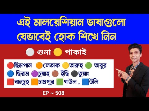 এই মালয় ভাষাগুলো যেভাবেই হোক শিখে নিন | Basic Malaysian language | Bangla to Malay EP 505