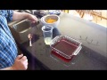 Jell-O with Fruit Jell-O with Fruit