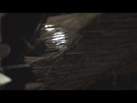 ALBAN ASLLANI - PRES